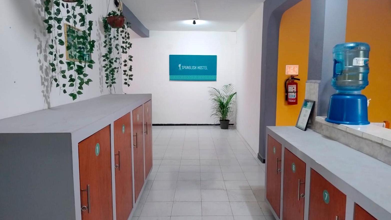 Spanglish Hostel Valladolid  Exteriör bild